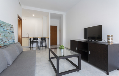 Apartamento Barrerillo 5 - 332 - 0
